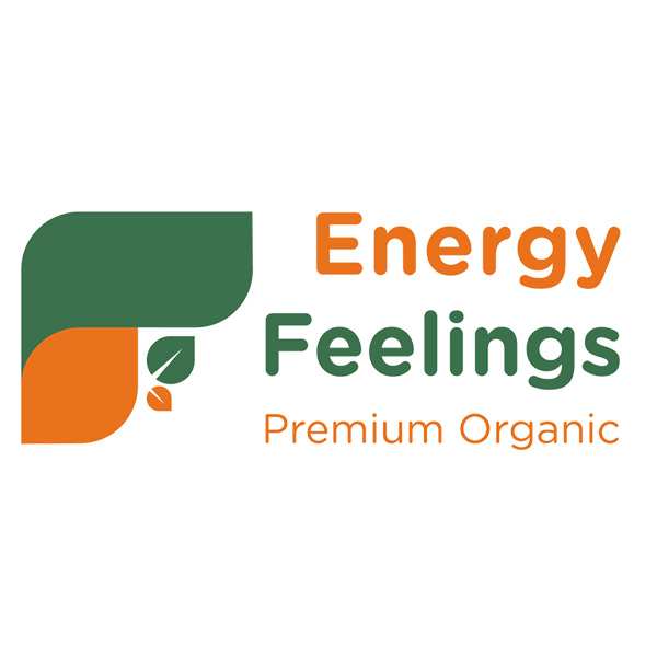 Energy-Feelings-Logo